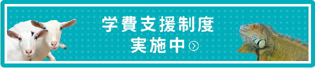 学費支援制度実施中