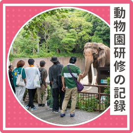 動物園研修の記録