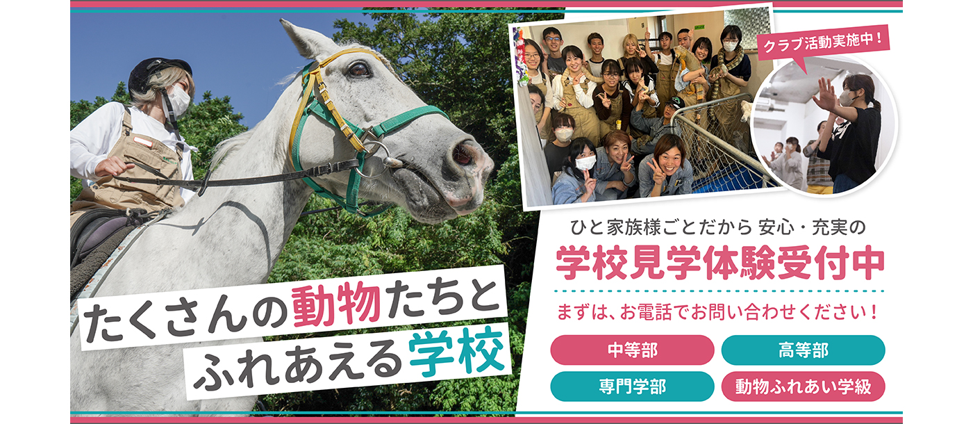 たくさんの動物たちとふれあえる学校